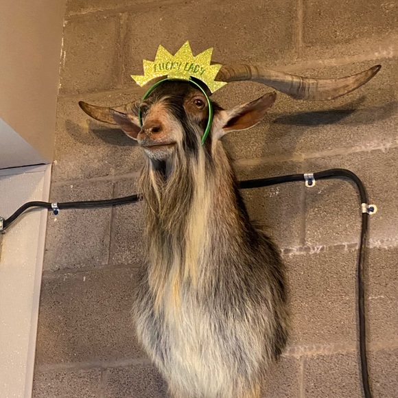 Meet your Posher, Kristine - Picture 1 of 1